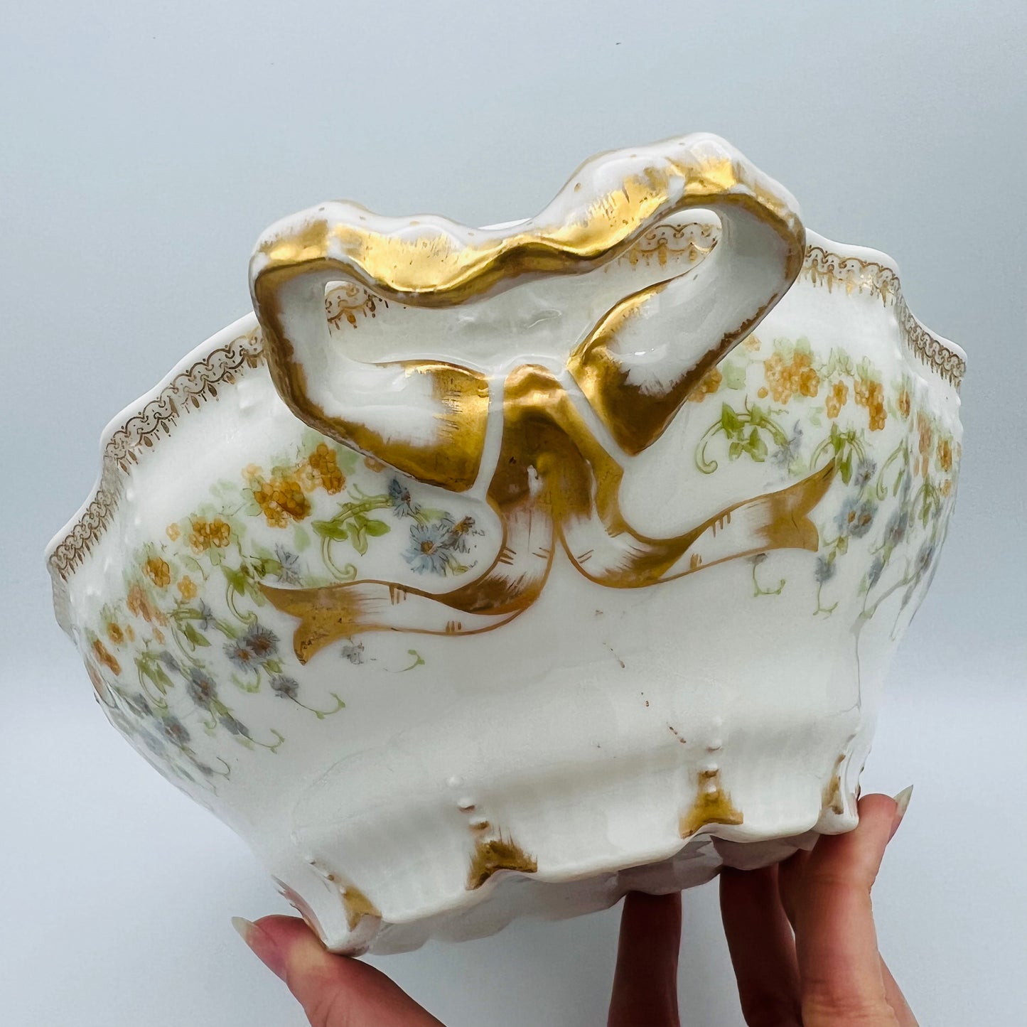 Jean Pouyat Limoges Tureen