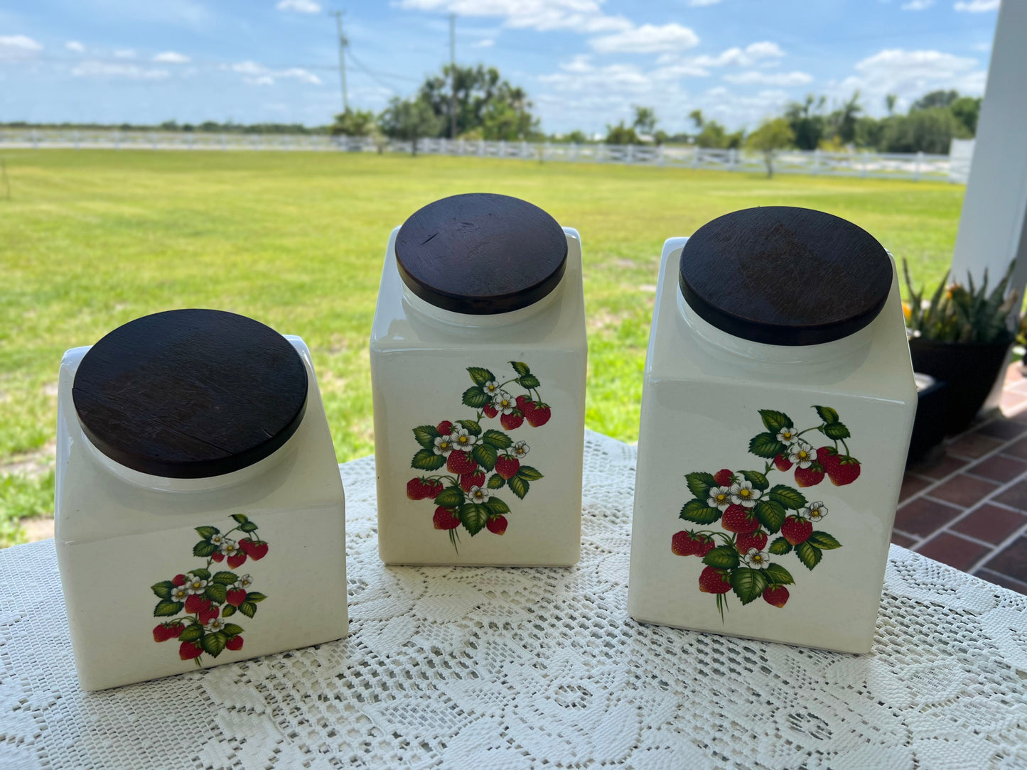 Hyalyn Strawberry Canister set