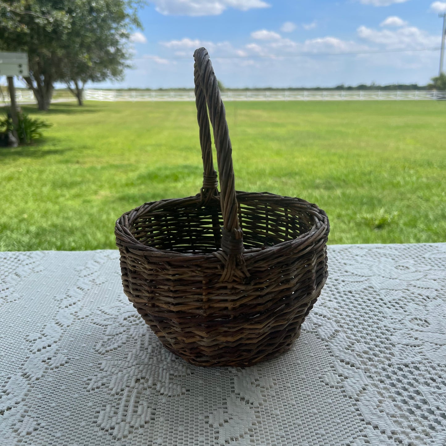 Willow Gathering Basket