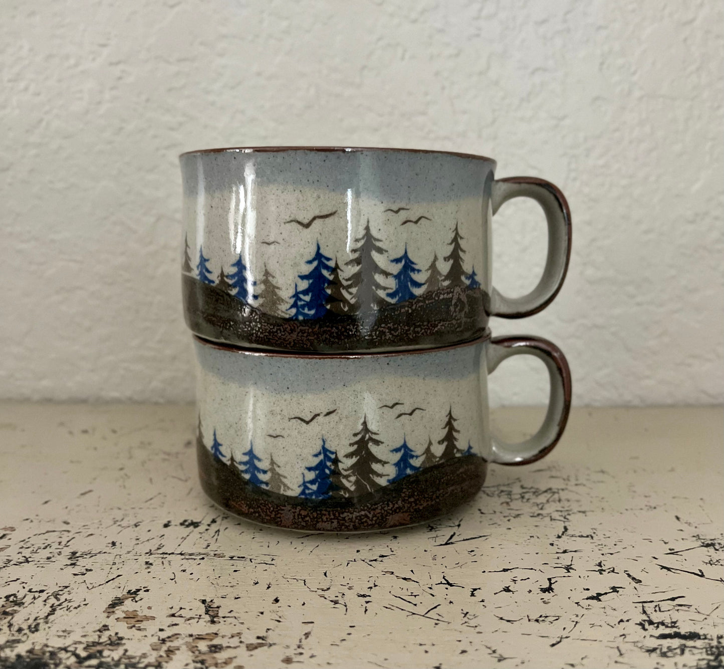 Soup Mug set