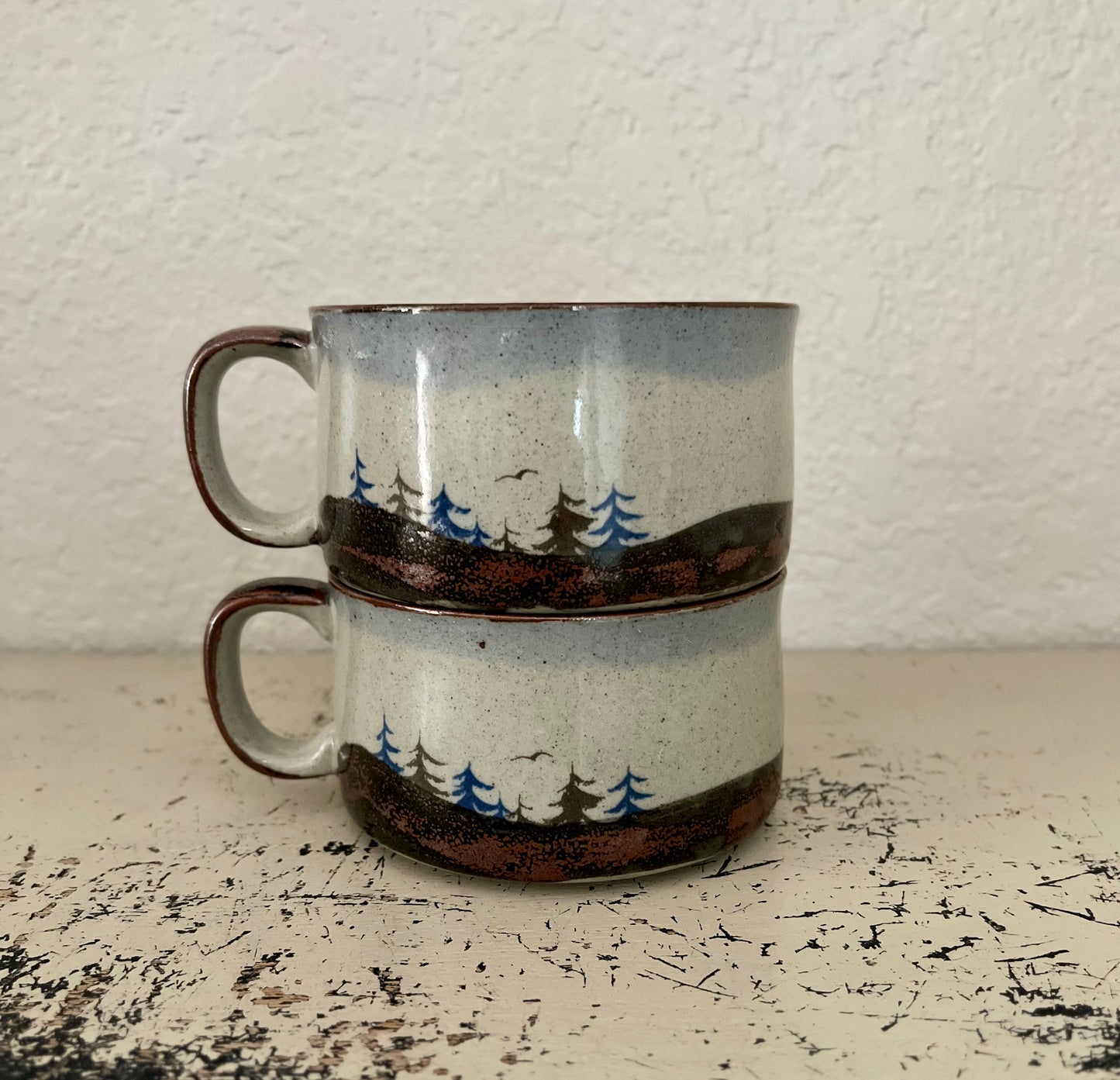 Soup Mug set